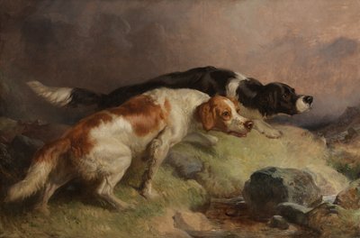 Setters on the Moor by Thomas Woodward